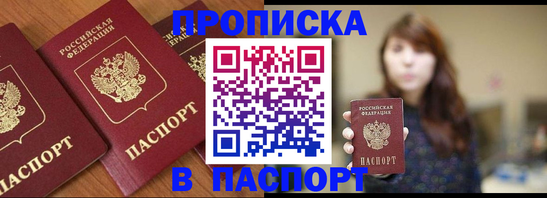 прописка поиск в Бердске